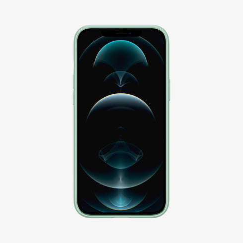 ACS01612 - iPhone 12 Pro Max Case Thin Fit in black showing the back
